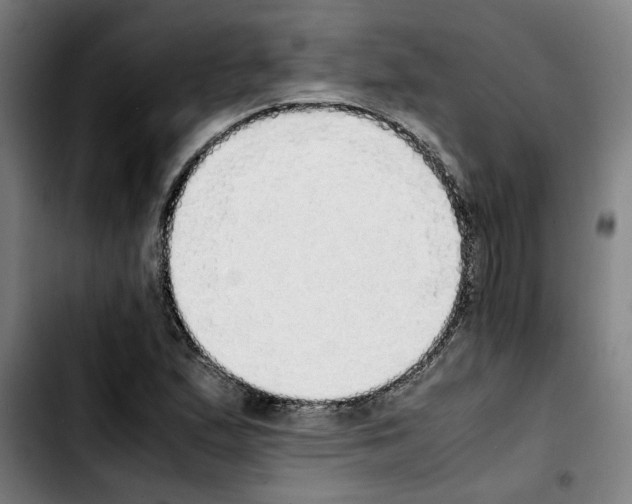X0000103431167200810241051