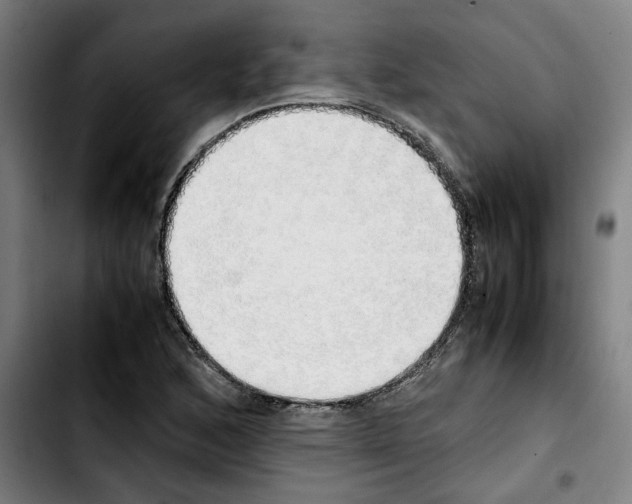 X0000103431168200810241051