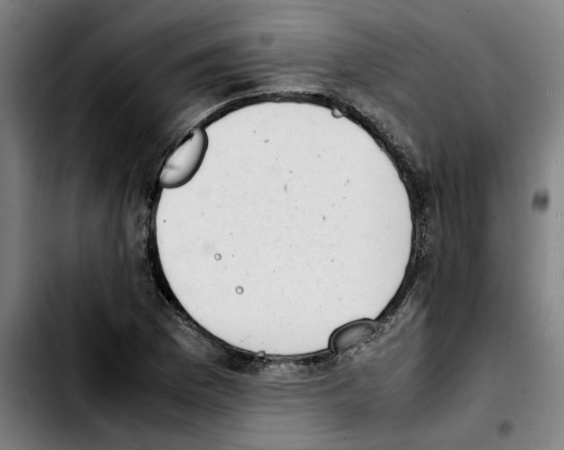 X0000103431169200810241051