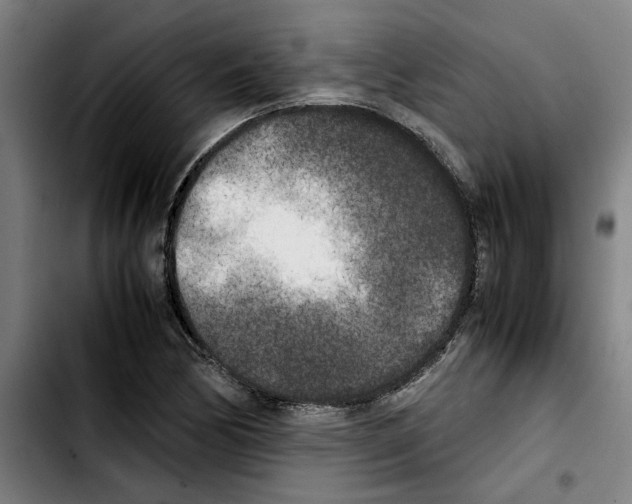 X0000103431170200810241051