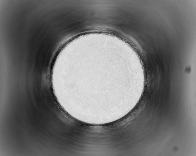 X0000103431172200810241051