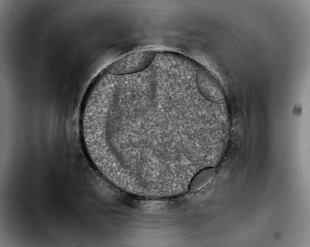 X0000103431173200810241051