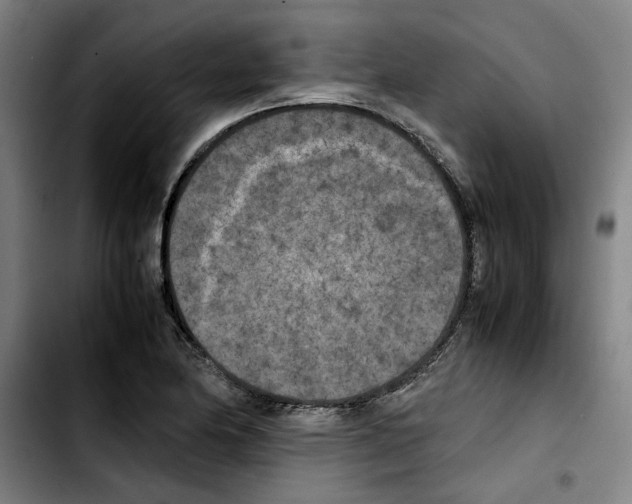 X0000103431174200810241051