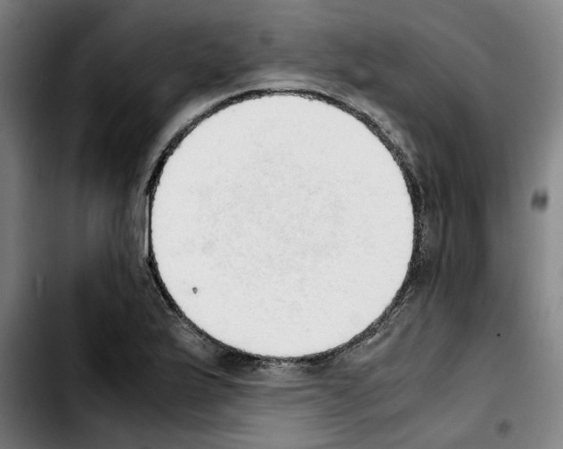 X0000103431175200810241051