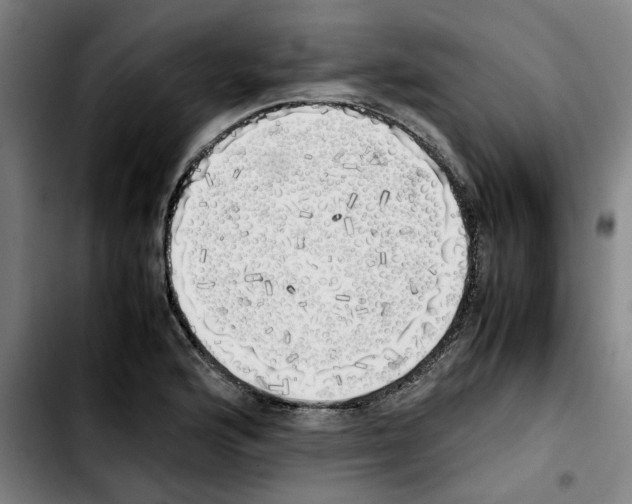 X0000103431176200810241051