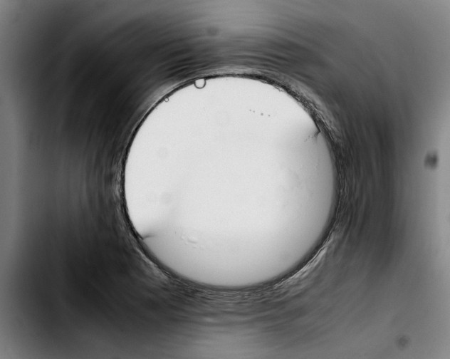 X0000103431177200810241051
