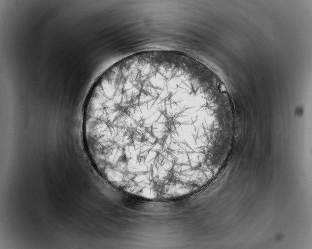 X0000103431179200810241051