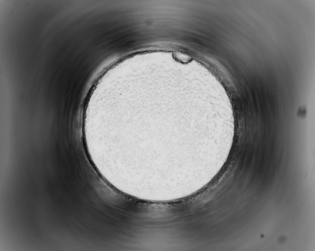 X0000103431180200810241051