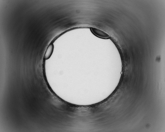 X0000103431181200810241051