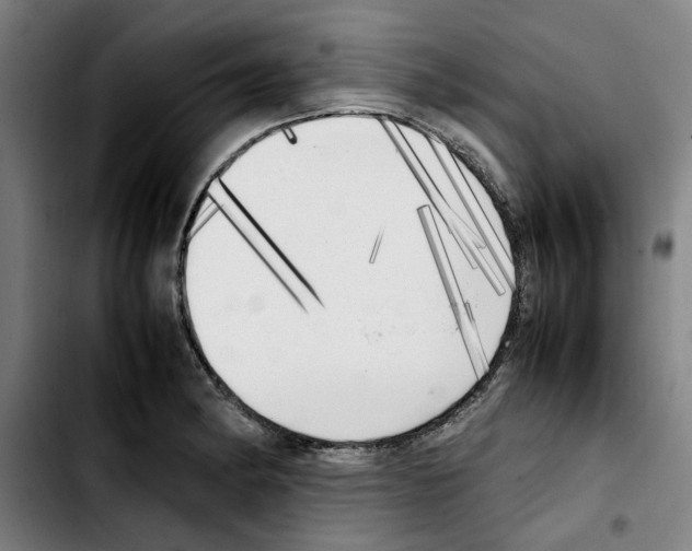 X0000103431182200810241051