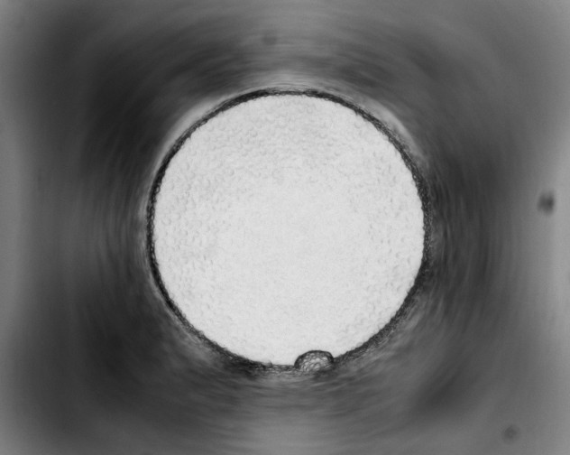 X0000103431183200810241051