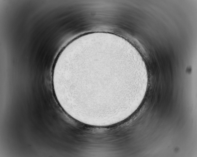 X0000103431184200810241051
