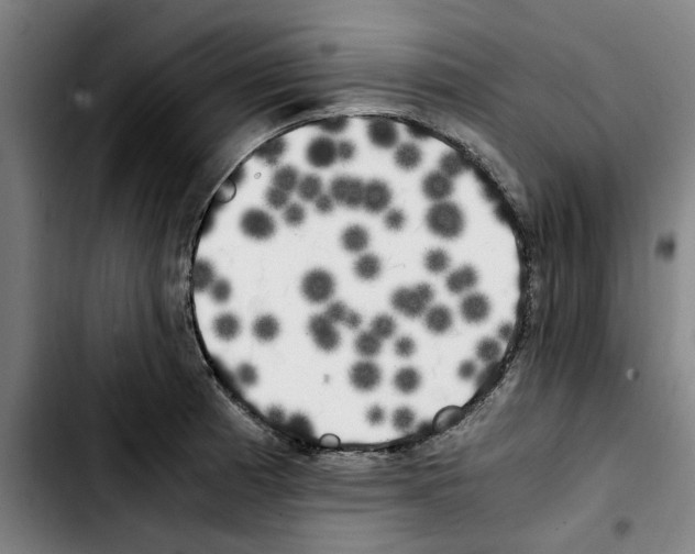 X0000103431185200810241051