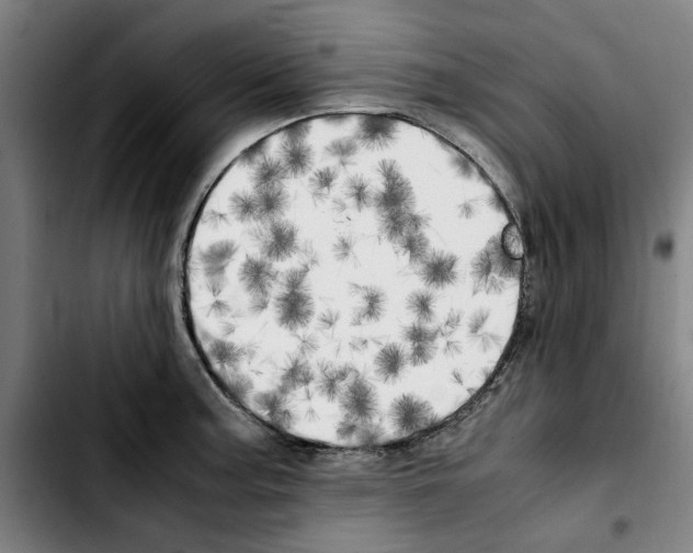 X0000103431187200810241051