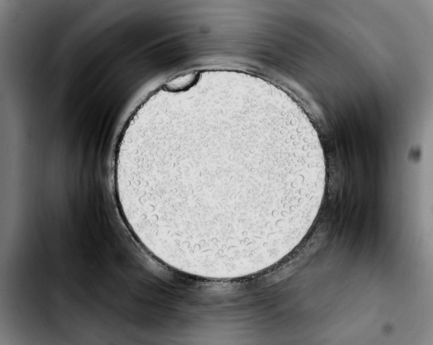 X0000103431188200810241051