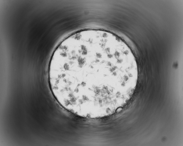X0000103431191200810241051