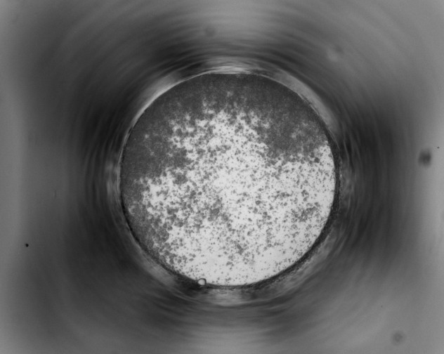 X0000103431194200810241051