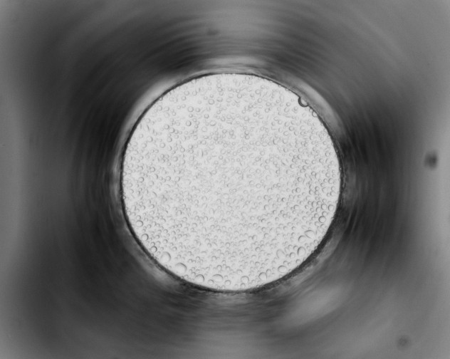X0000103431196200810241051