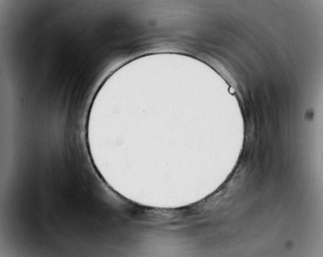X0000103431197200810241051