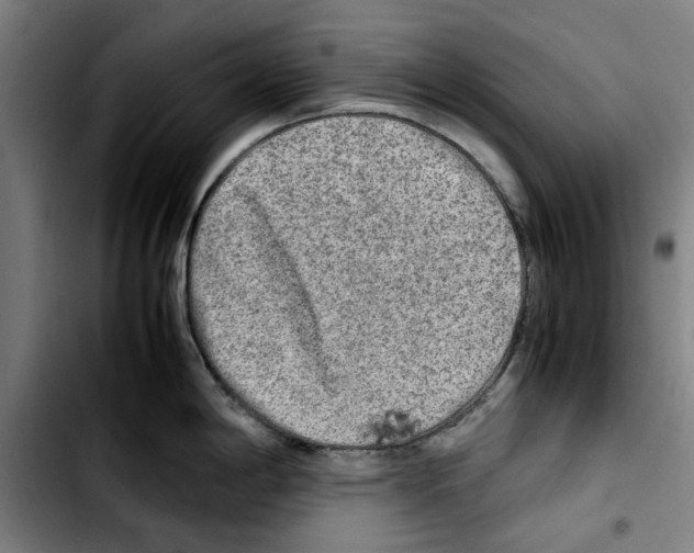 X0000103431198200810241051