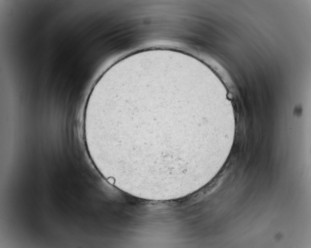 X0000103431199200810241051
