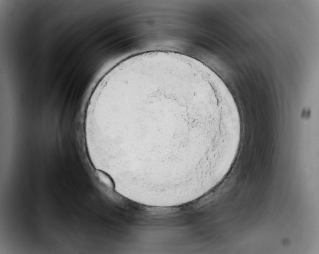 X0000103431200200810241051