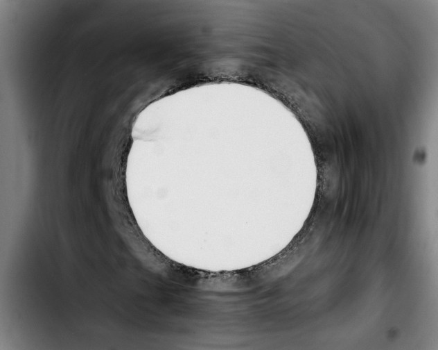 X0000103431201200810241050