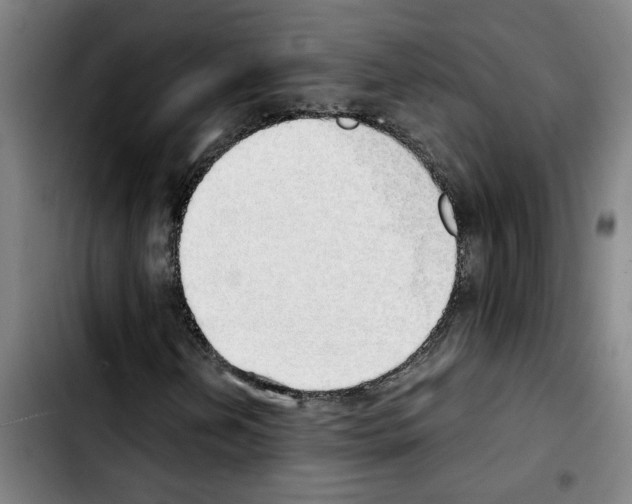 X0000103431202200810241050