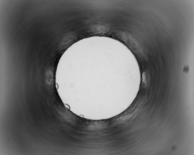 X0000103431203200810241050