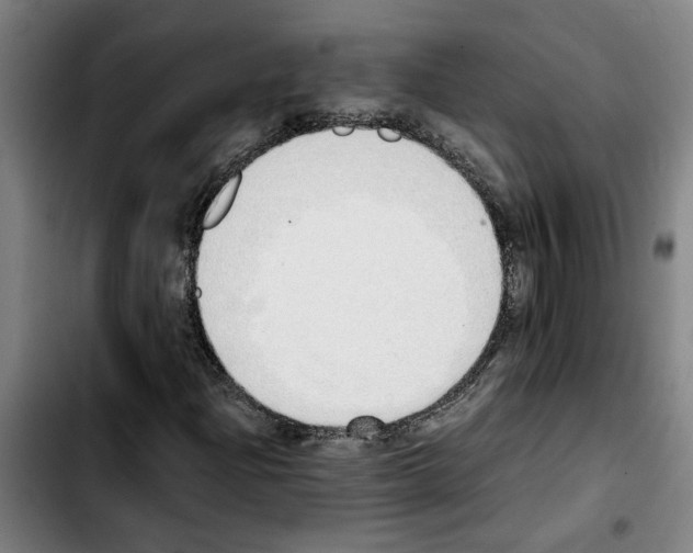 X0000103431204200810241050