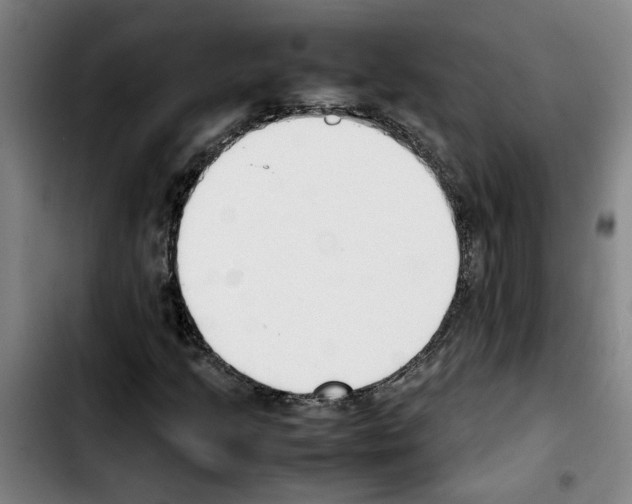 X0000103431205200810241050
