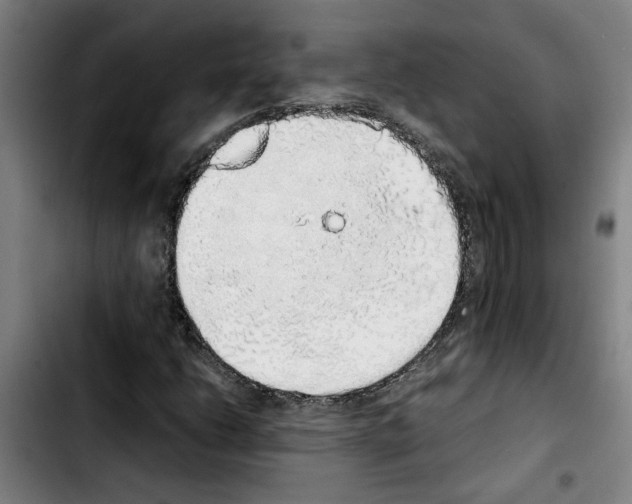X0000103431206200810241050