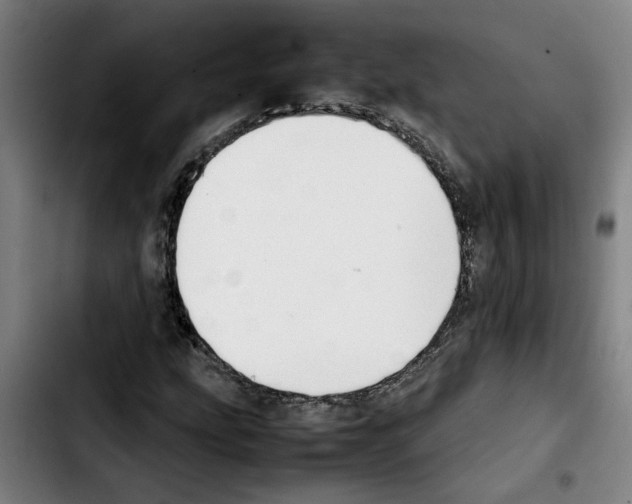 X0000103431207200810241050
