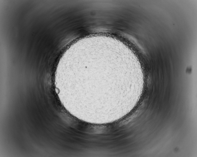 X0000103431209200810241050