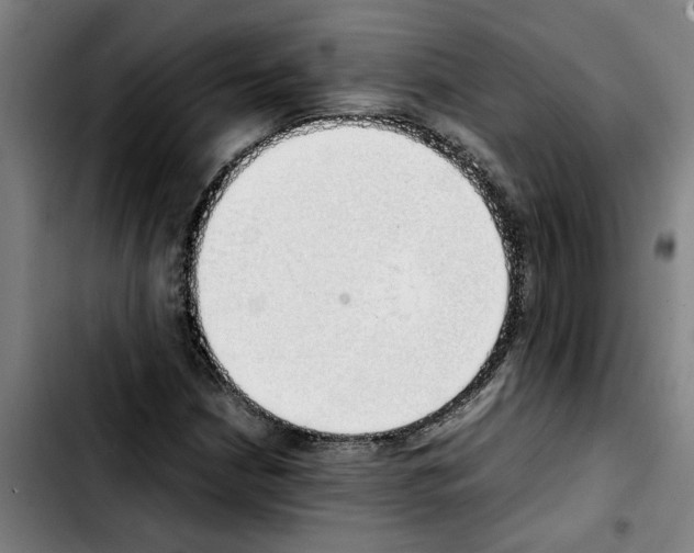X0000103431210200810241050