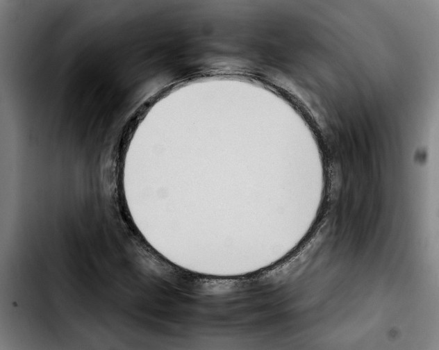 X0000103431211200810241050