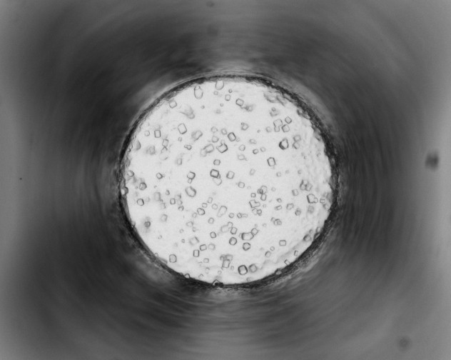 X0000103431212200810241050