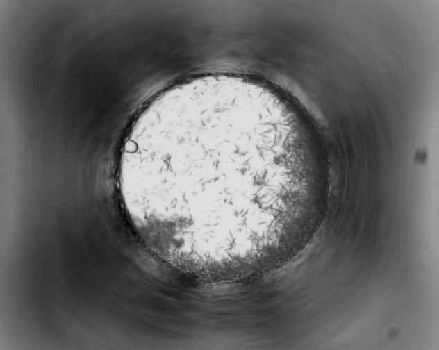X0000103431213200810241050