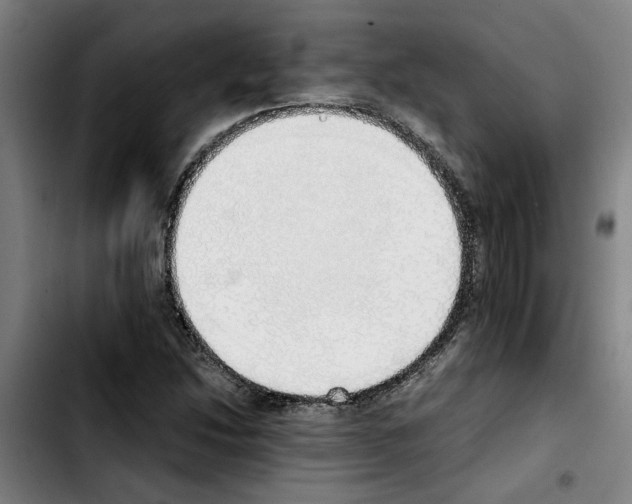 X0000103431214200810241050