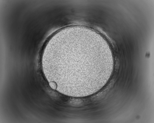X0000103431215200810241050