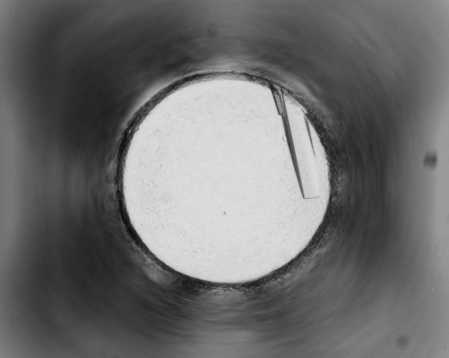 X0000103431216200810241050