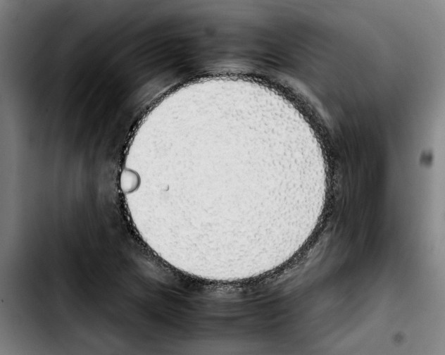 X0000103431217200810241050