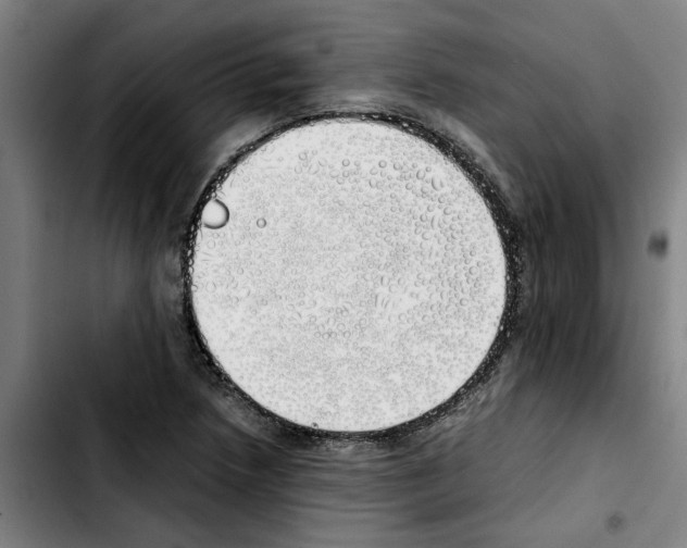 X0000103431218200810241050