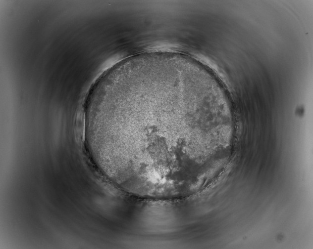 X0000103431219200810241050
