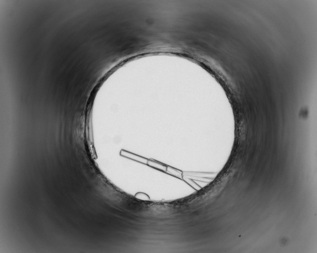 X0000103431220200810241050