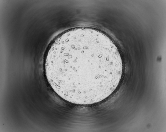 X0000103431222200810241050