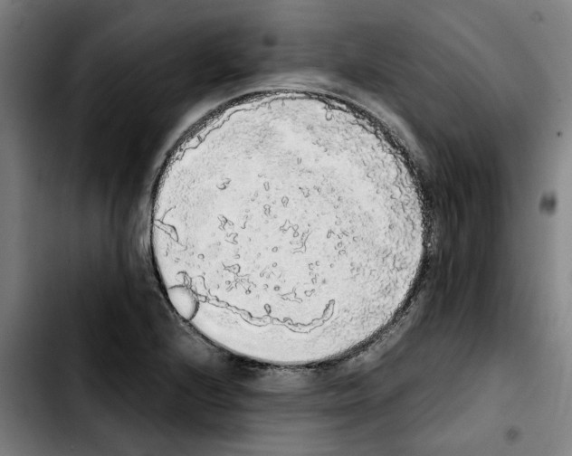 X0000103431224200810241050