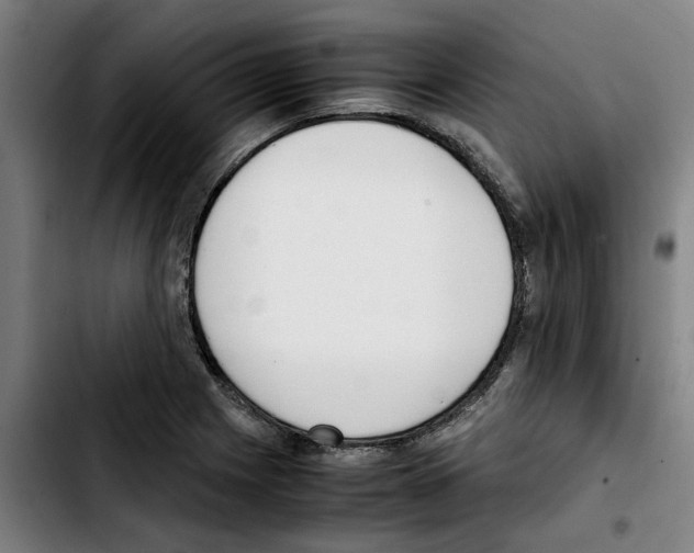 X0000103431225200810241050