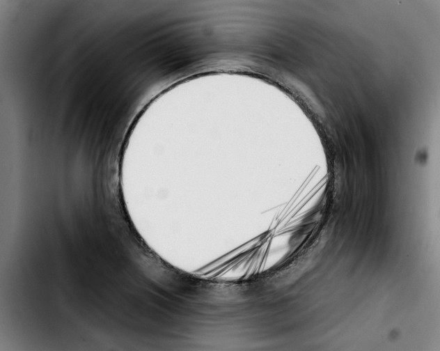 X0000103431226200810241050