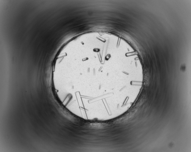 X0000103431227200810241050